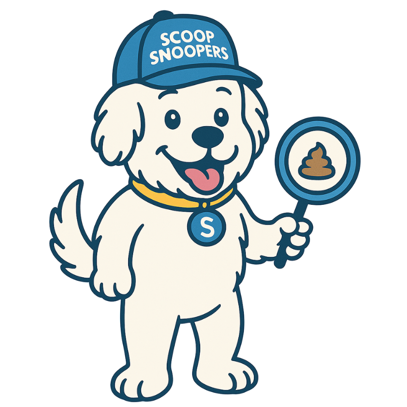scoopy dog